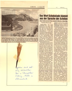 Image 00081