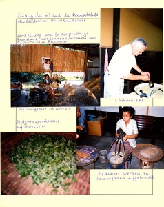 Image 00147