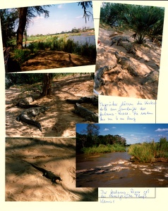 Image 00467