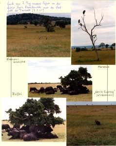 Image 00485