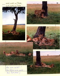 Image 00491