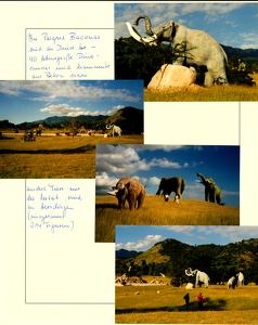 Image 00589