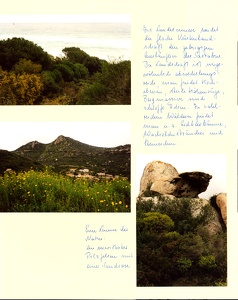 Image 00765