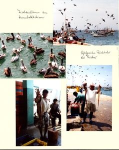 Image 00781