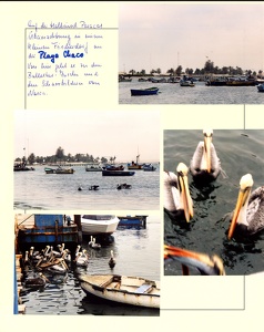 Image 00791