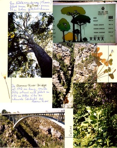 Image 00964
