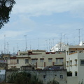Antennenwald in Tanger